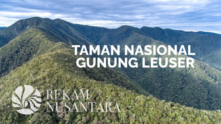 Taman Nasional Gunung Leuser - Banda Aceh